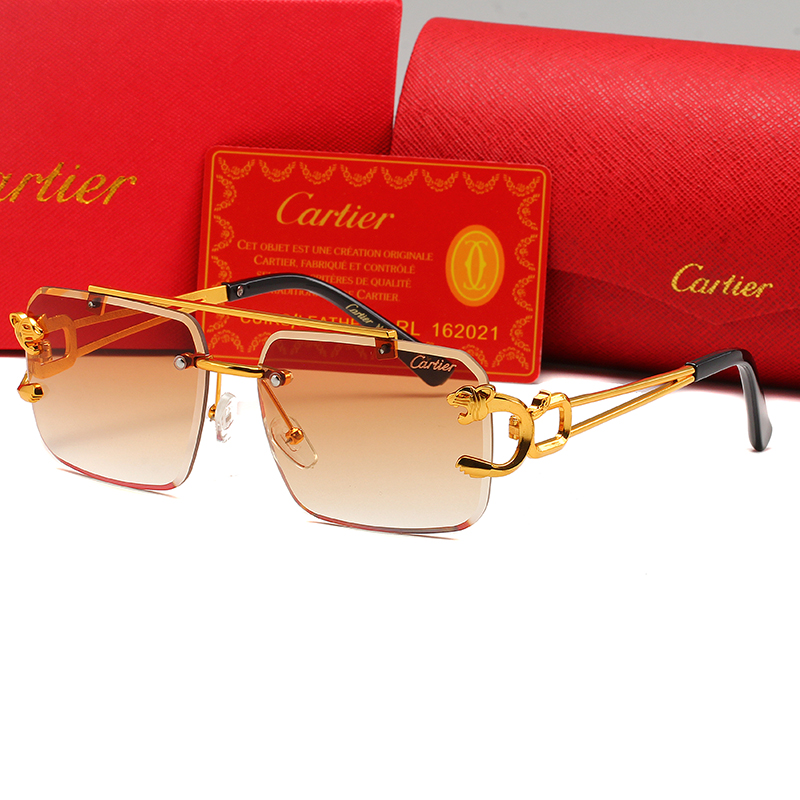 Cartier sunglasses-C5901S